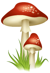 pretty toadstools 